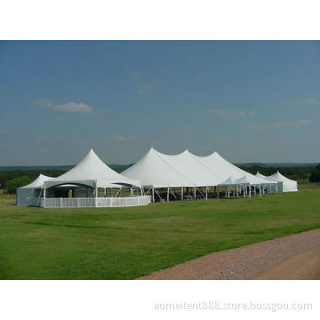 Produce L Size Mix Exhibition Marquee Tents of Anti-UV & PVC (YUY-09)